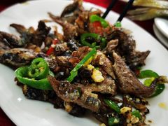 -蛇口康乐快餐鱼仔档(翠苑小区店)