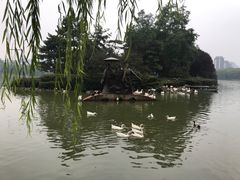 -西安曲江寒窑遗址公园