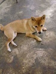 -MMby Hair Code芭曲发型