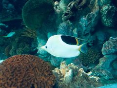 -上海海洋水族馆