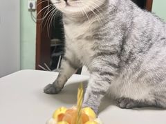 -姆们M Sweetie Cake(三里屯店)