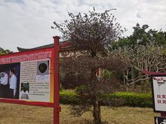 -合浦汉代文化博物馆