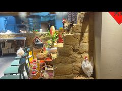 -蛮佬拾·乡里土菜馆(河西王府井店)