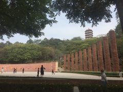 -福神岗公园