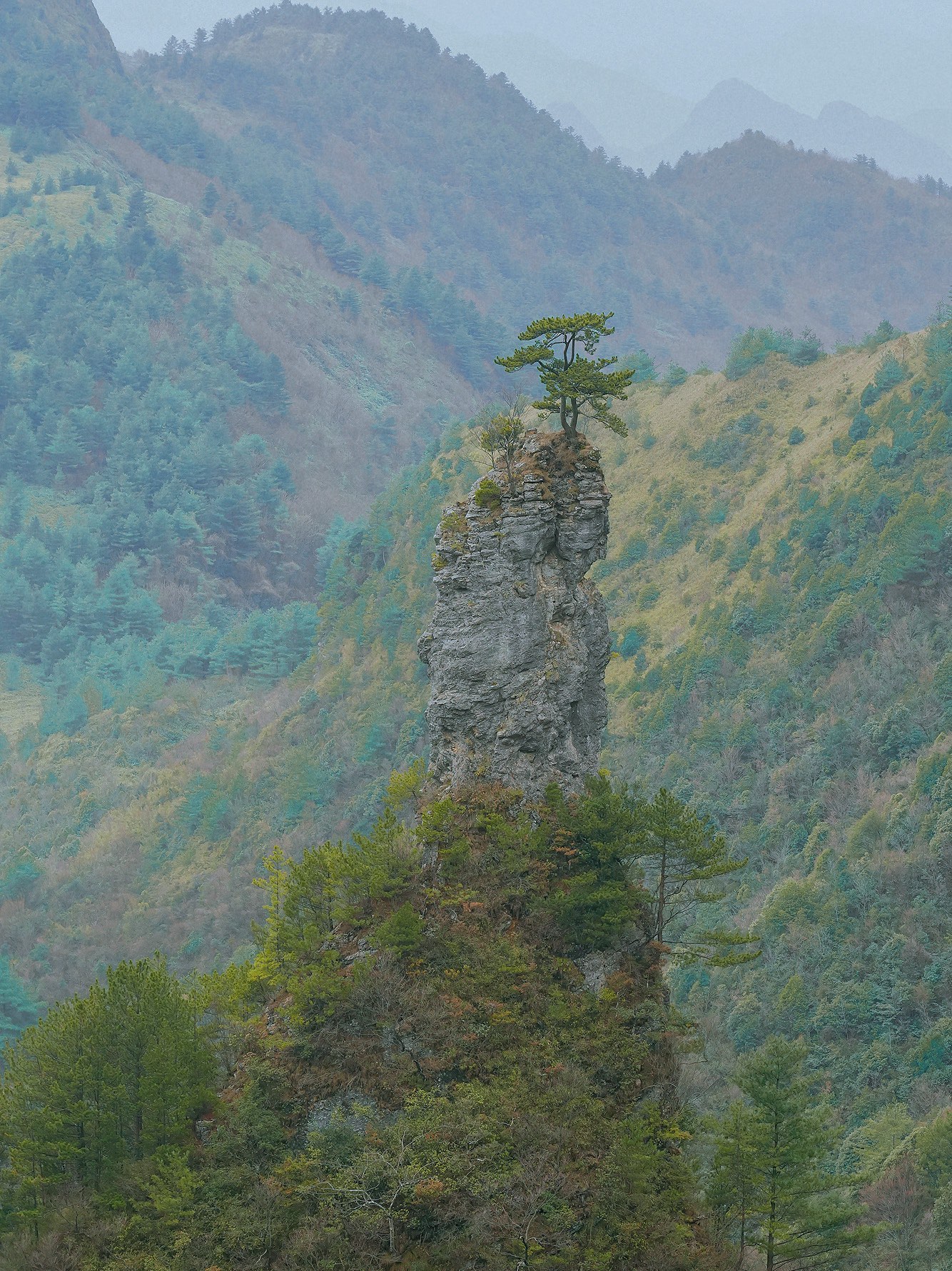 四川万源八台山风景区图片