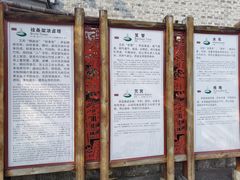 -燊海井