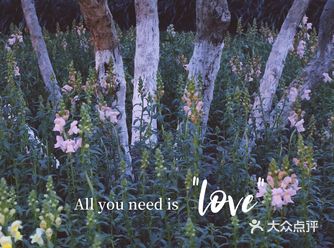 杭州植物园丨春光烂漫,只待花开