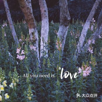 杭州植物园丨春光烂漫,只待花开