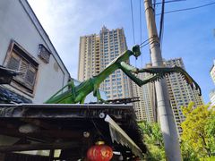 -昆虫窝子·特色云南菜(拓东路总店)