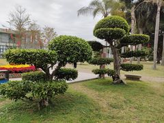 -石炮台公园