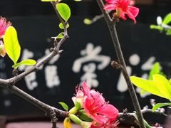 -棠湖公园