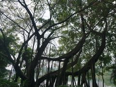 -南宁南湖公园