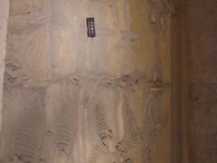 -洛阳周王城天子驾六博物馆