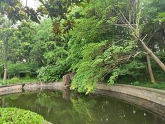 -嘉定紫藤园