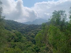 -梧桐山风景名胜区