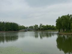 -贡湖湾湿地公园