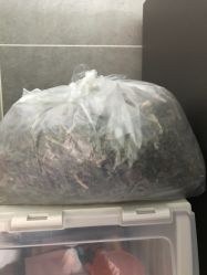 -宋氏家传催乳工作室(罗南新村店)