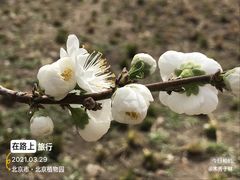 -国家植物园