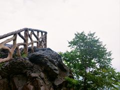 -北京西山国家森林公园