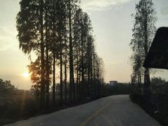 -天河体育中心游泳馆