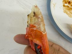 -春华海鲜城(广场西苑店)