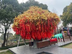 -狼山风景名胜区