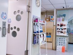 -纳吉亚猫专科动物医院(康都外科中心)