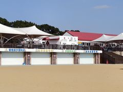 -碧海金沙