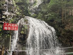 -藏龙百瀑风景区