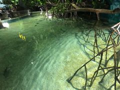 -福州罗源湾海洋世界旅游区