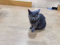 点击看大图 -小象动物公园