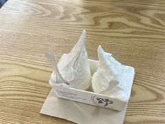 -野人先生Gelato(上海长宁龙之梦店)