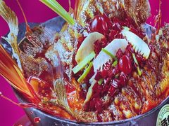 -老板恋上鱼(恒隆广场店)