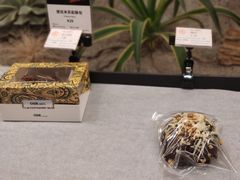 -OUR Bakery(SKP-S店)