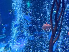 -沈阳海洋探索中心