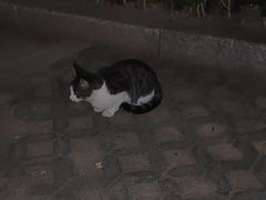 -众品老方子锅贴甜沫(李村店)