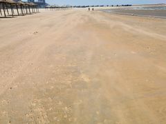 -龙口南山旅游景区