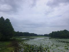 -苏州东太湖生态园