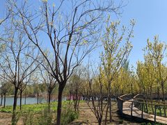 -东郊湿地公园