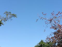-雨花胜境