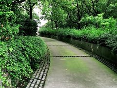 -上海市保健医疗中心