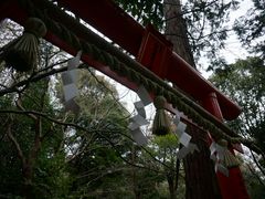 -野宫神社