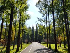 -黄海国家森林公园