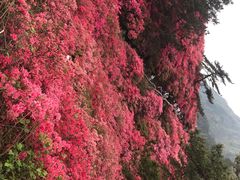 -木兰云雾山