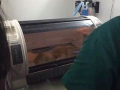 盛京一禾-盛京一禾