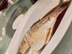 清蒸武昌鱼-亢龙太子酒轩(东湖店)