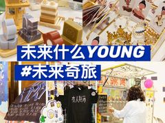 -远洋未来汇