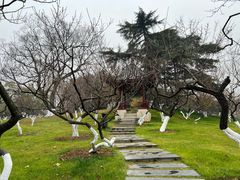 -东湖听涛景区