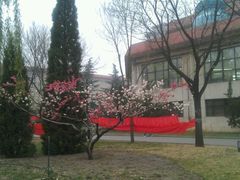 -中国政法大学(昌平校区)