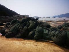 -小皓村